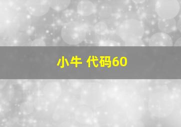 小牛 代码60